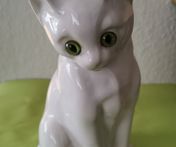 Porcelæn kat